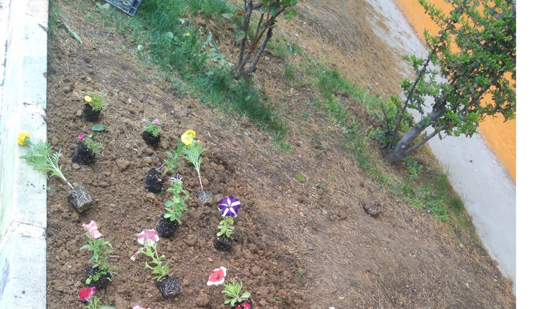 Okullarımız Çiçek Açıyor